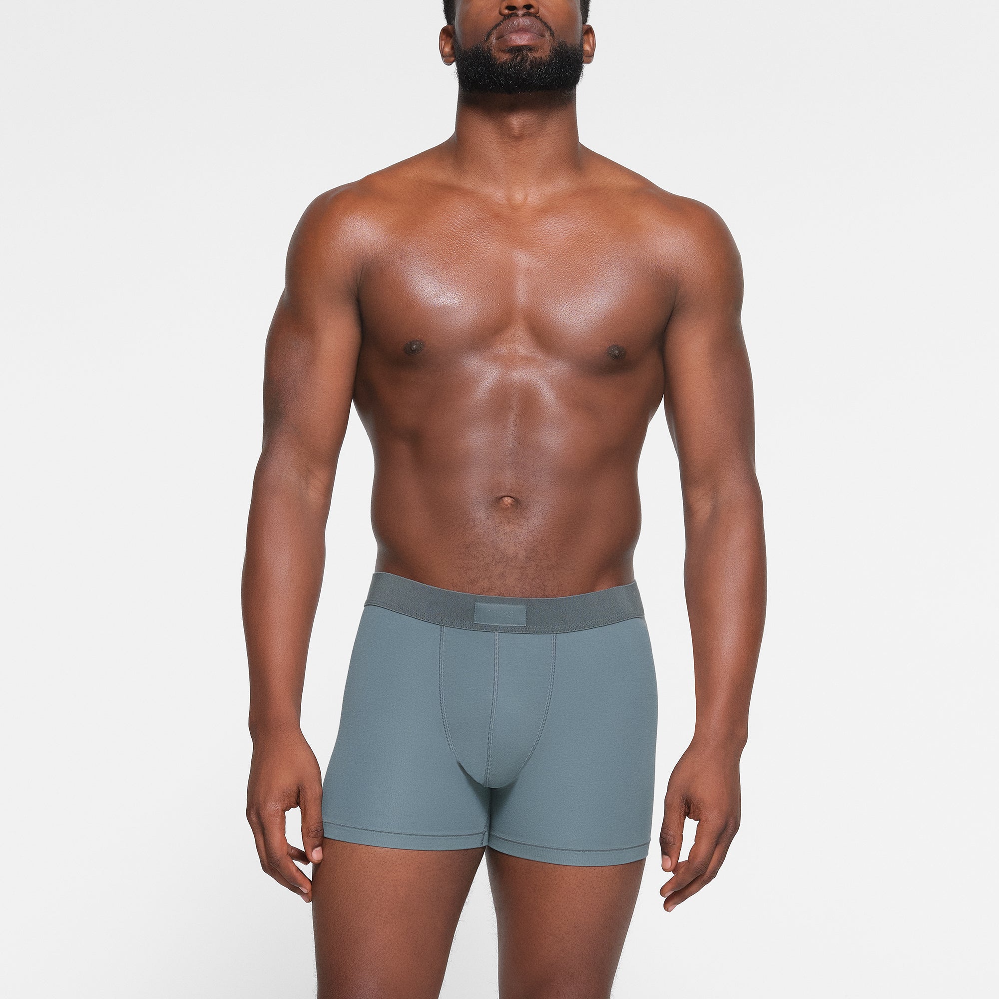 SKIMS COTTON MENS 3" BOXER BRIEF | KYANITE