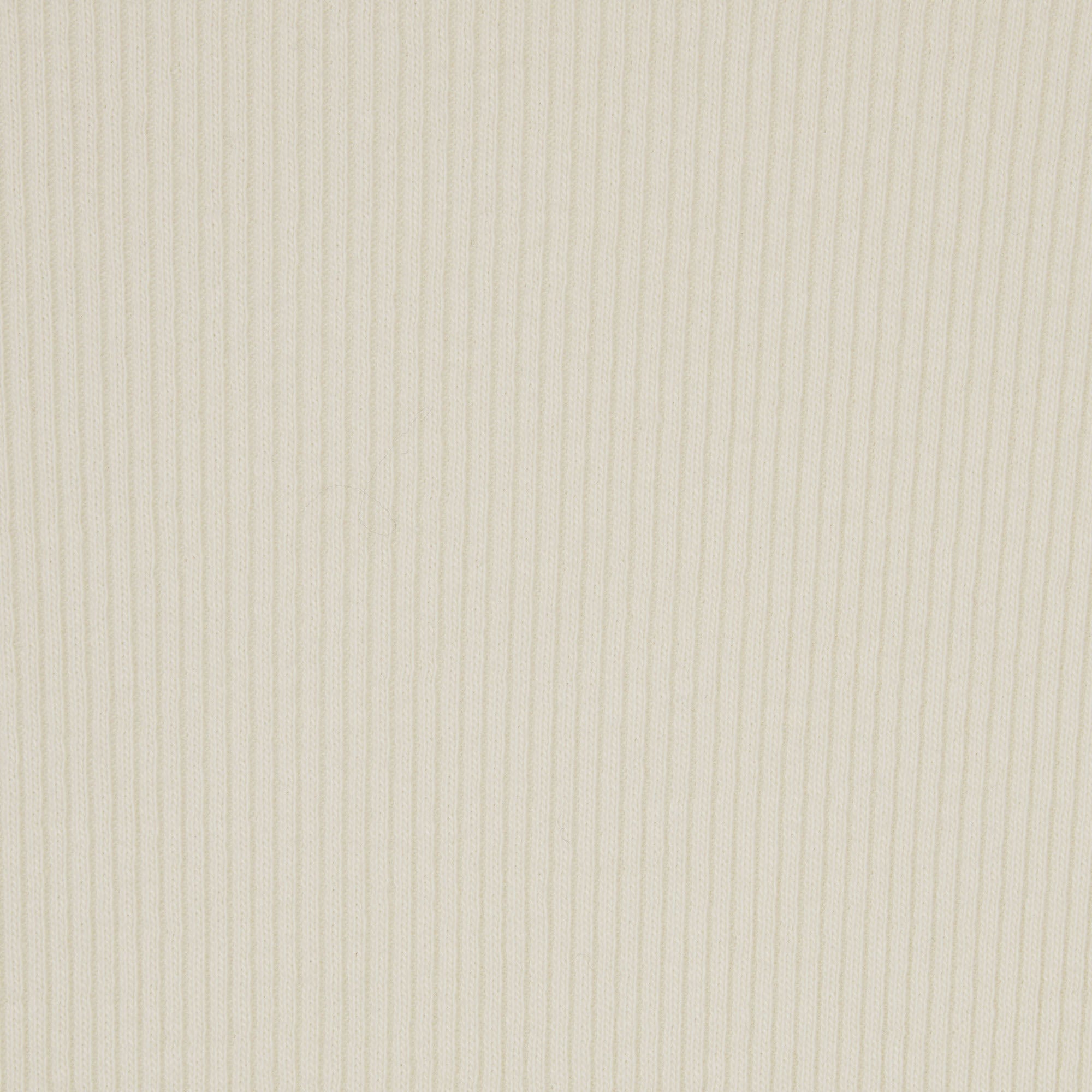 COTTON RIB BRIEF | BONE - Image 4