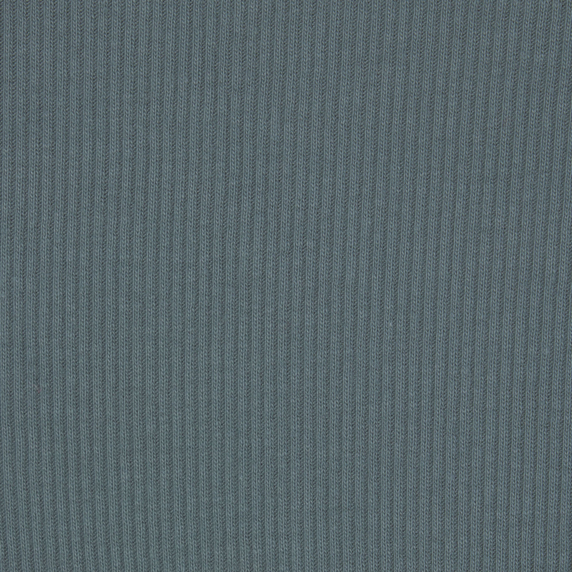 COTTON RIB BRIEF | KYANITE - Image 4