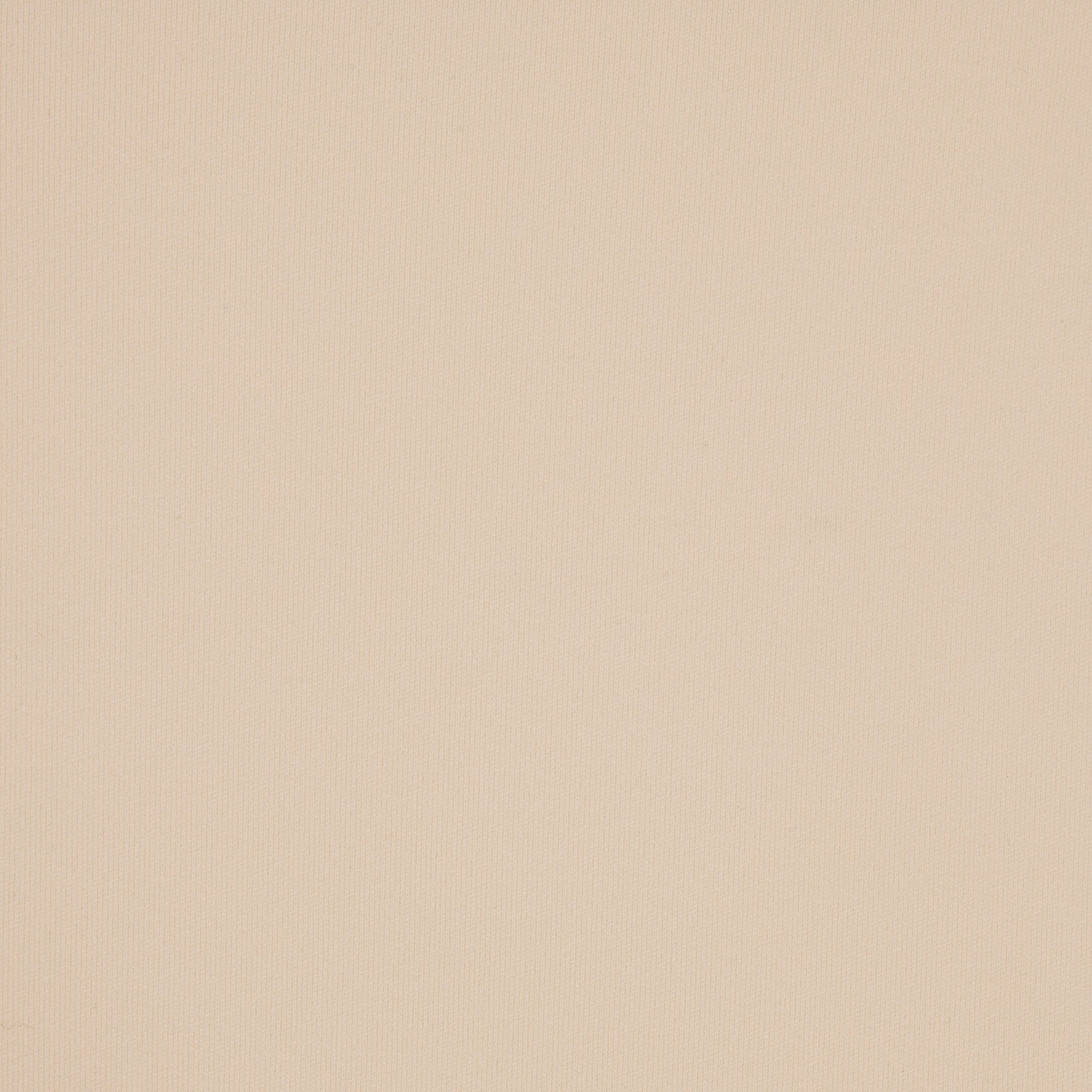 FITS EVERYBODY HIGH-WAISTED THONG | SAND - Image 4