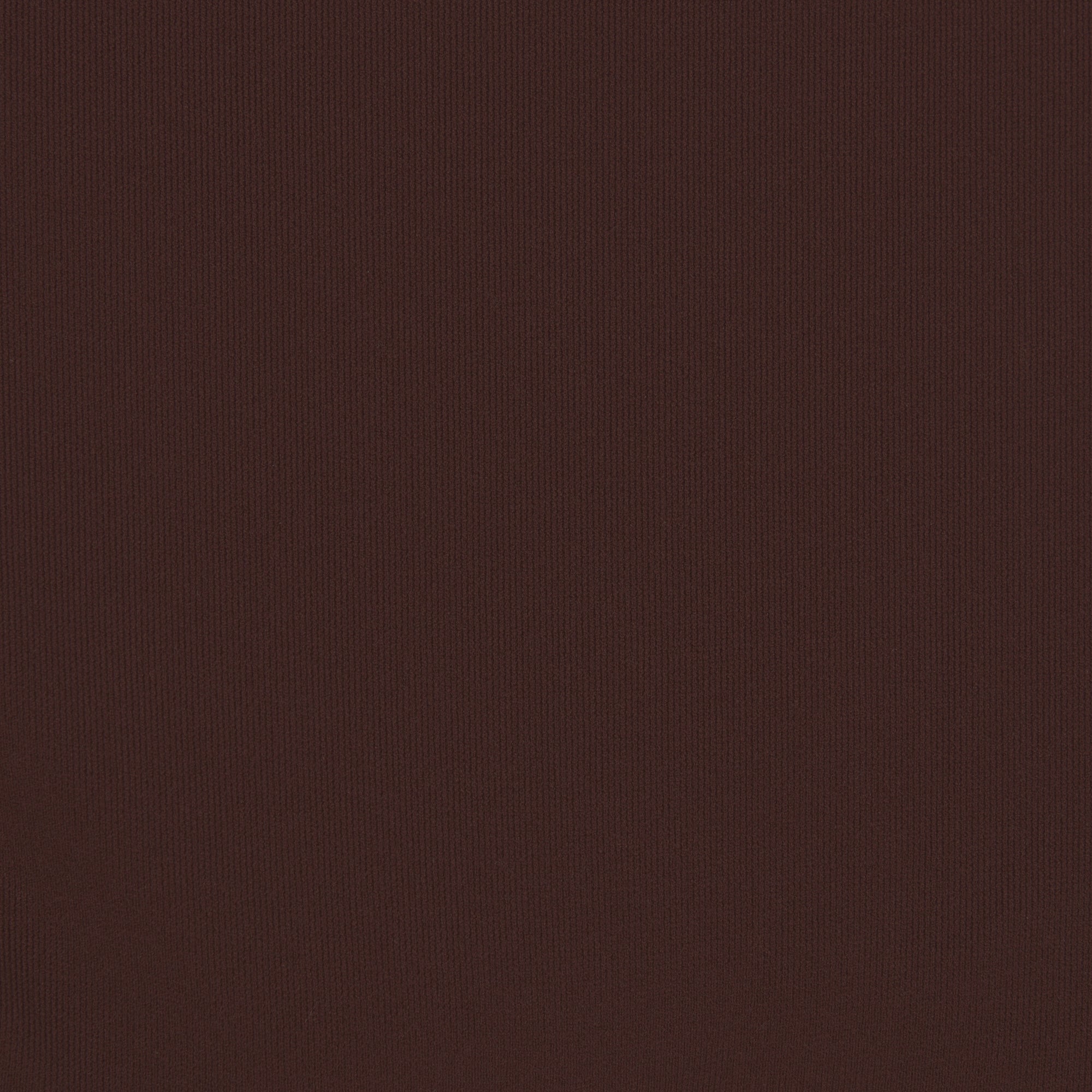 FITS EVERYBODY BRIEF | COCOA - Image 4