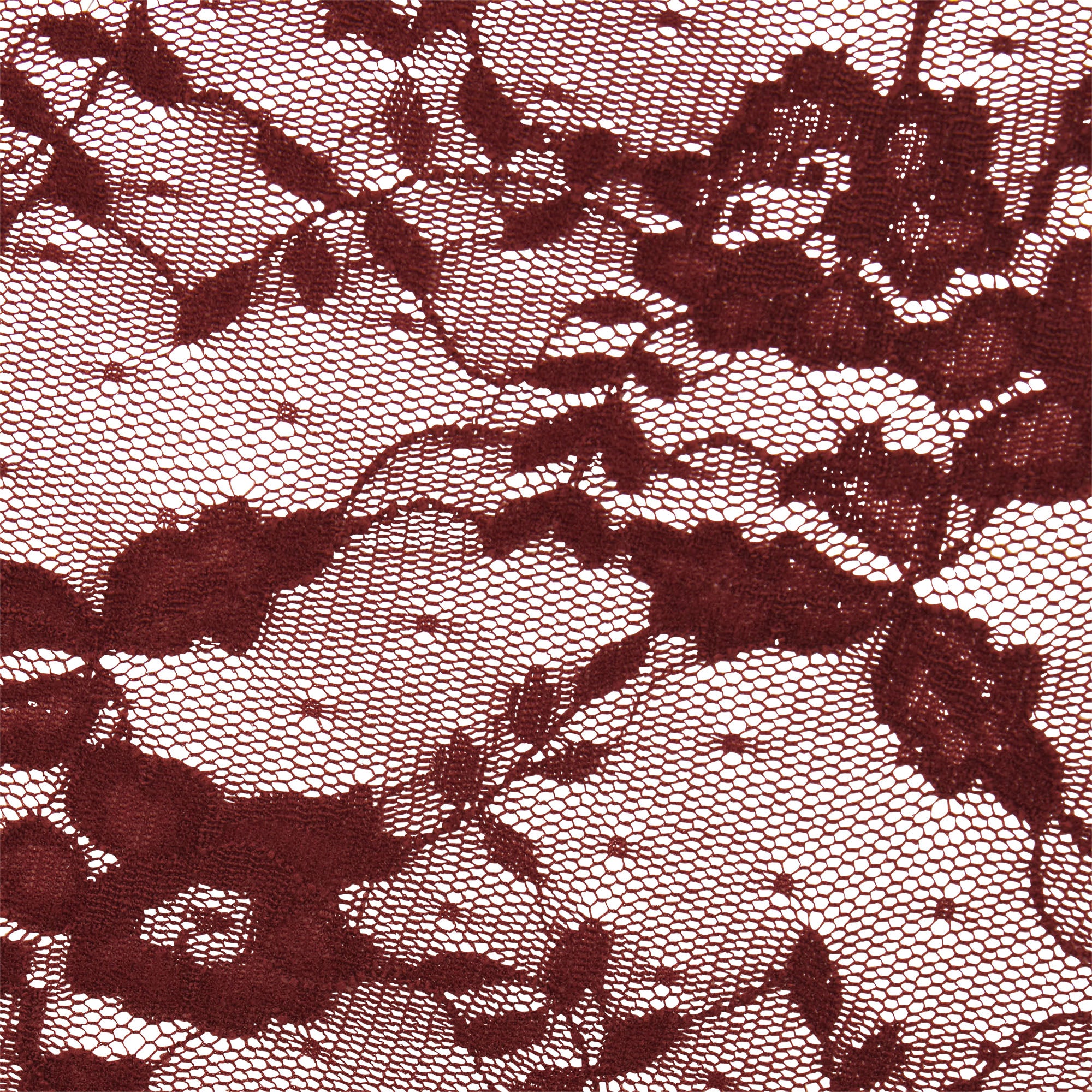 STRETCH LACE BRIEF | OXBLOOD - Image 4