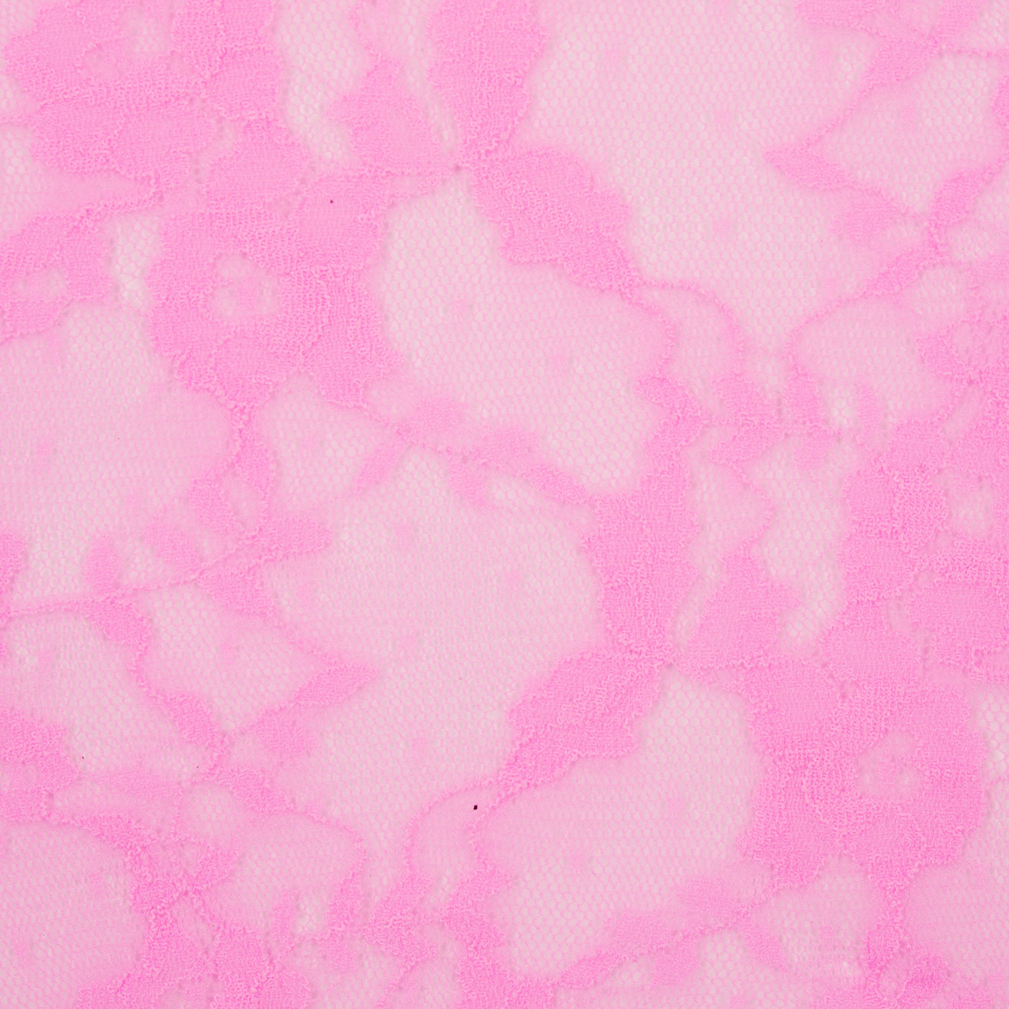 STRETCH LACE BRIEF | SUGAR PINK - Image 5