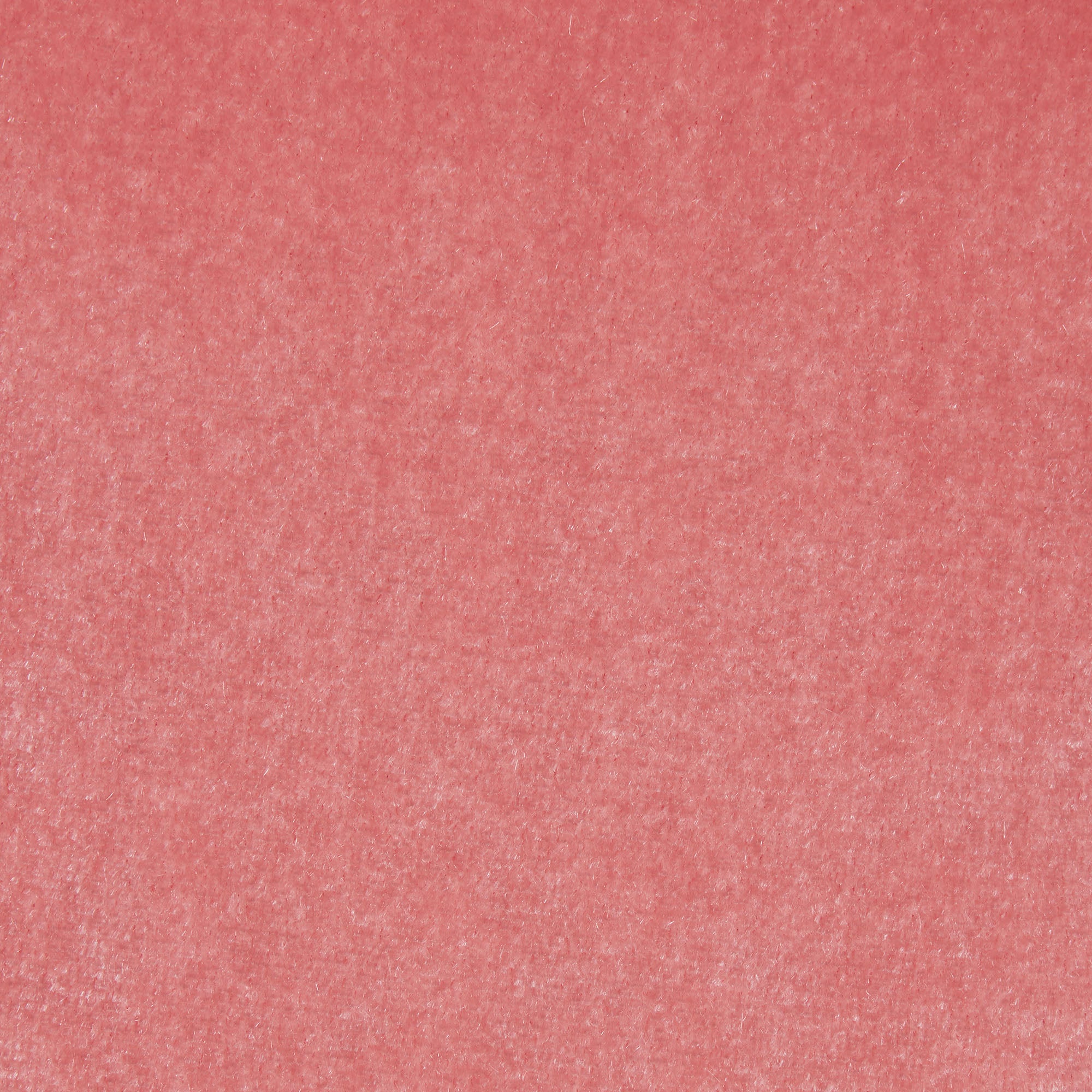 VELVET LACE DIPPED THONG | TERRACOTTA - Image 4