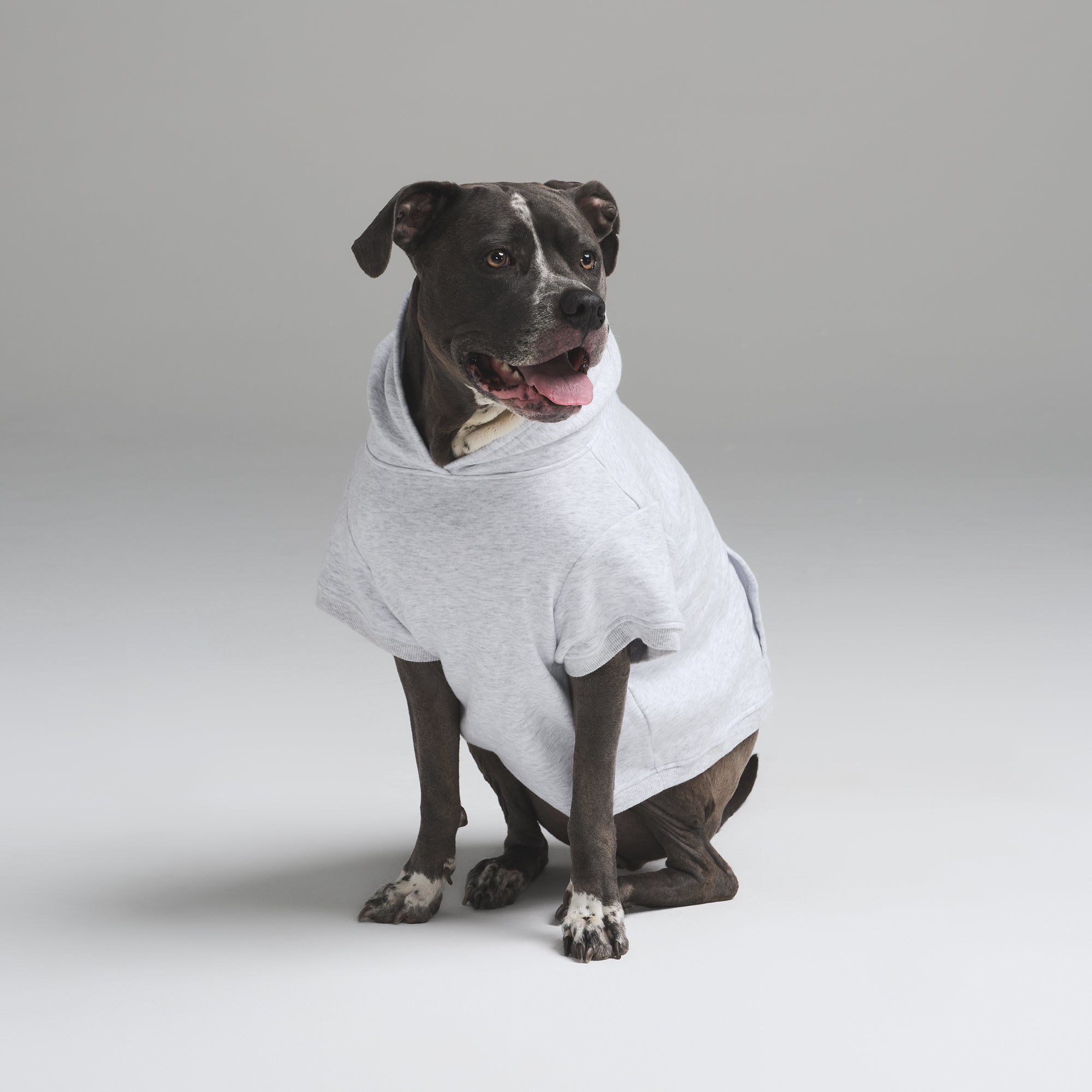 COTTON FLEECE PET HOODIE | LIGHT HEATHER GREY